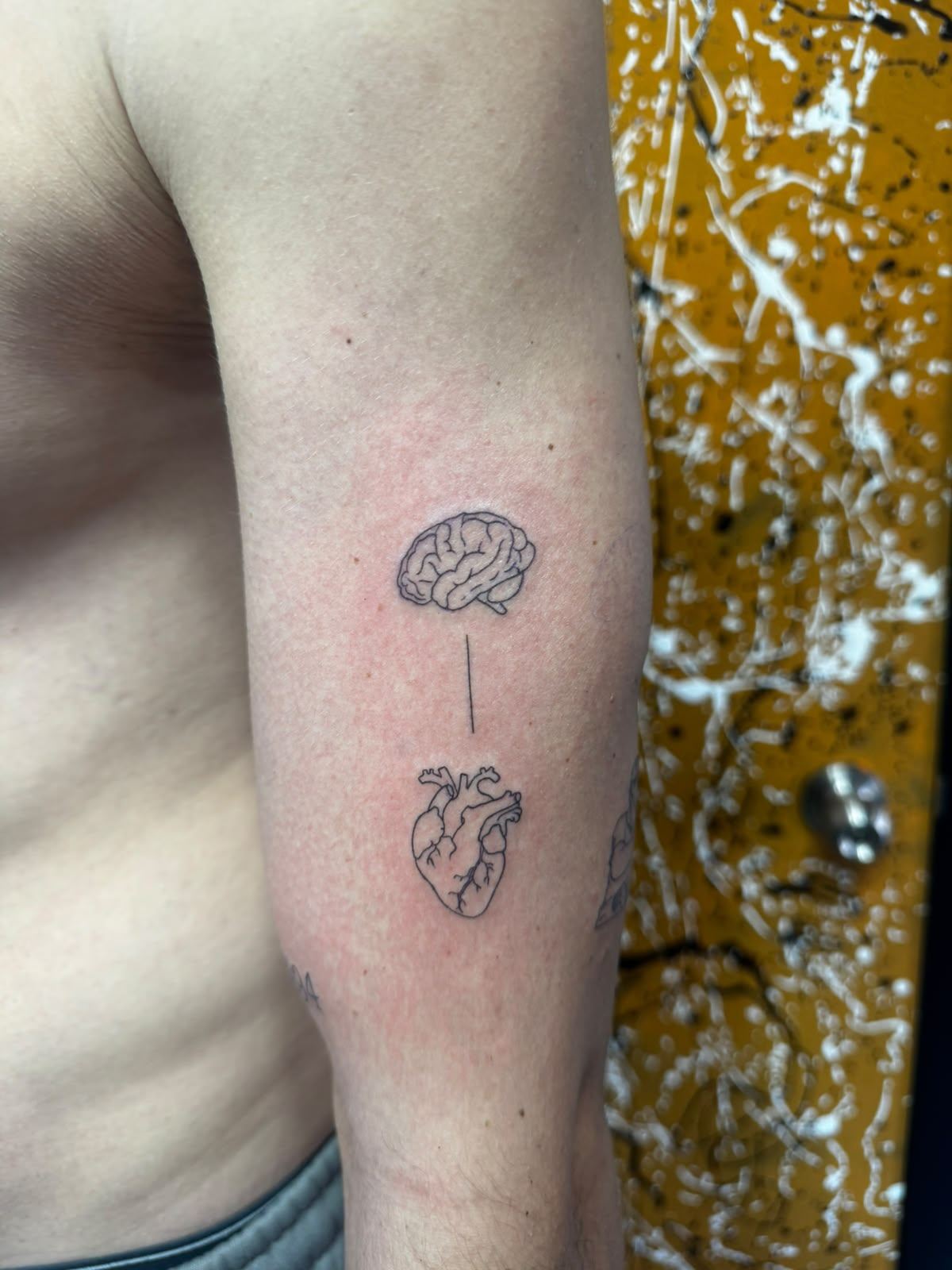 Tatuaje fine line de un cerebro y un corazón conectados